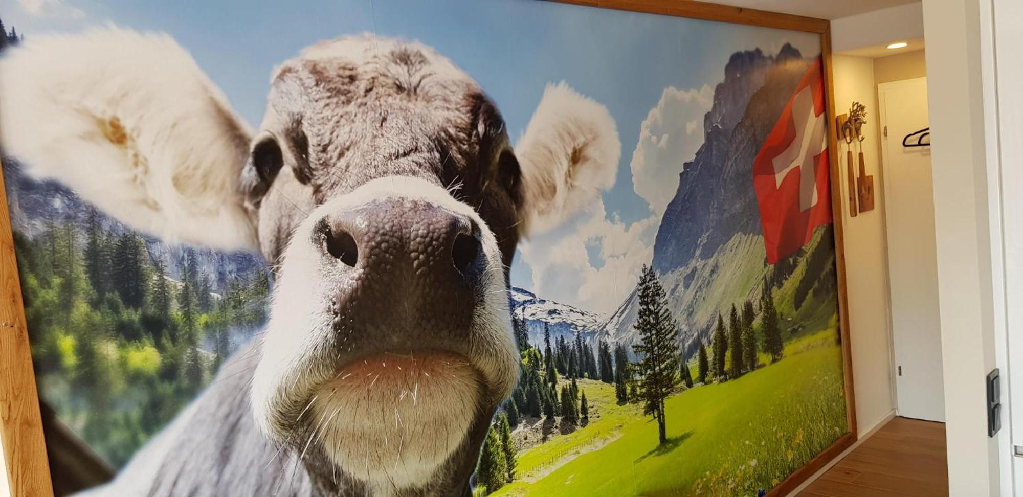 Apartament Almi - Alpenglueck Traumhafte Whg.M.20Qm Dachterr. Oberstaufen Zewnętrze zdjęcie